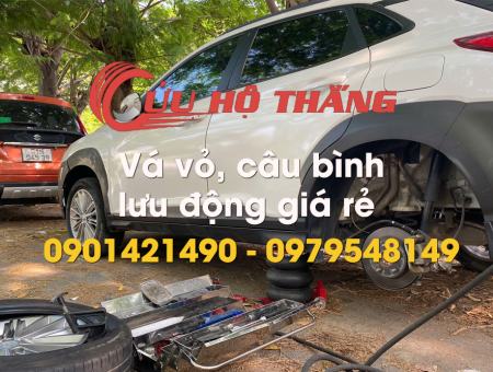 GIỚI THIỆU