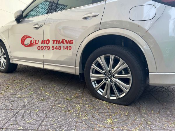 Hướng dẫn tự thay bánh sơ cua