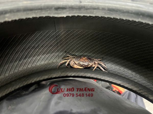 Vá vỏ ô tô lưu động quận 1 quận 2 quận 3